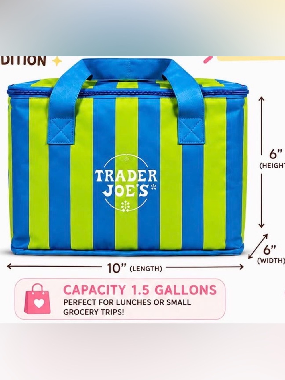 Trader Joe's Blue & Lime Stripe mini Insulated tote Bag